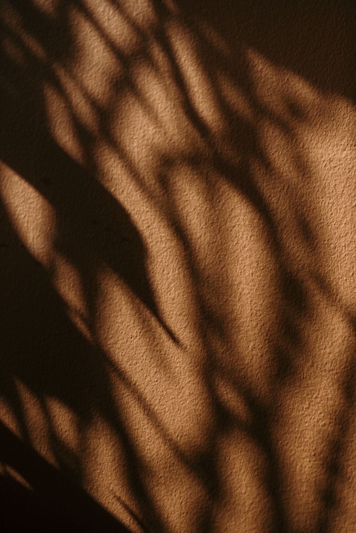 「即使如此，依然講究。」